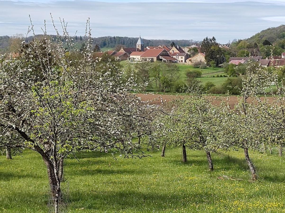 Chateau D'Impasse Laferte-sur-Amance Ngoại thất bức ảnh